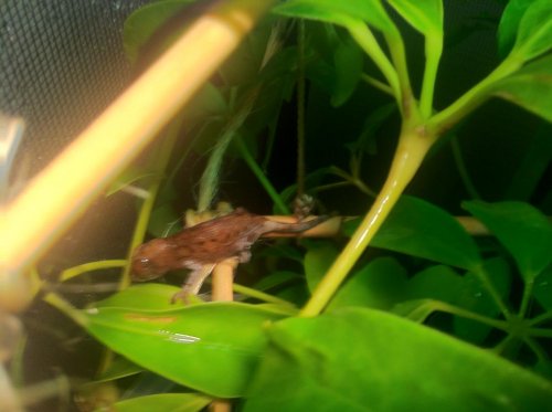 6 in the morning.jpg