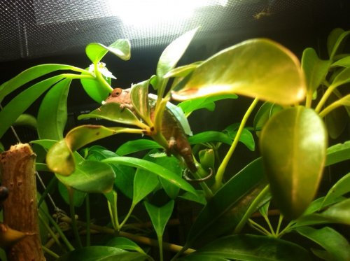 9 in the morning.jpg