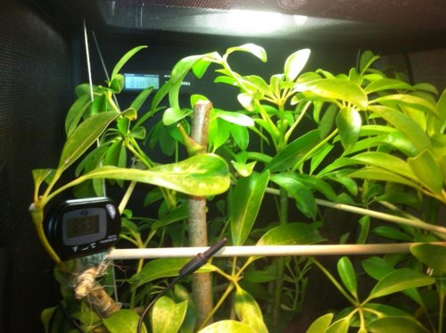 Thermostats - Hydrometer.jpg