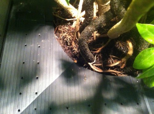 Bottom of Enclosure.jpg