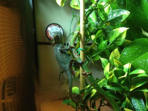 Photo May 07, 1 39 24 PM.jpg