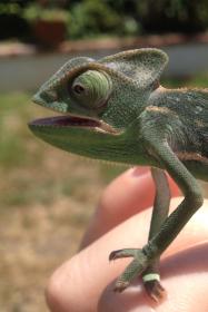 Photo May 07, 1 40 35 PM.jpg