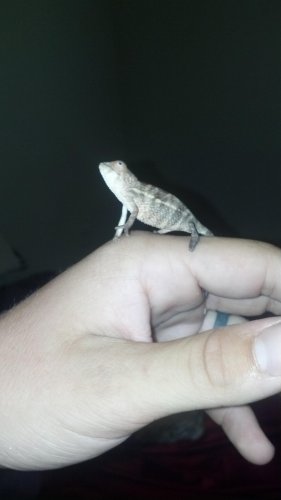 2012-05-06_15-09-40_517 (1).jpg