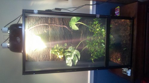 2012-05-12_17-47-07_996.jpg