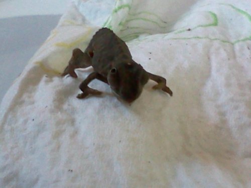 IMG193.jpg