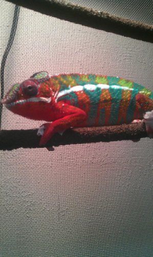 IMAG0357.jpg