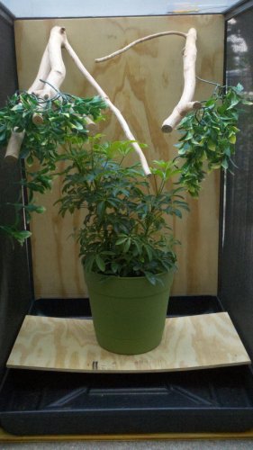 2012-05-13_15-50-10_857.jpg
