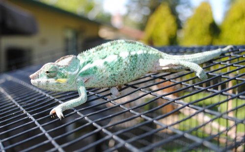 DSC_0775.jpg