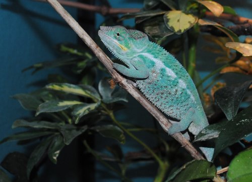 DSC_0878.JPG