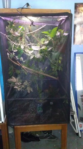 IMAG0159.jpg