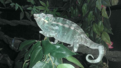 IMAG0417.jpg
