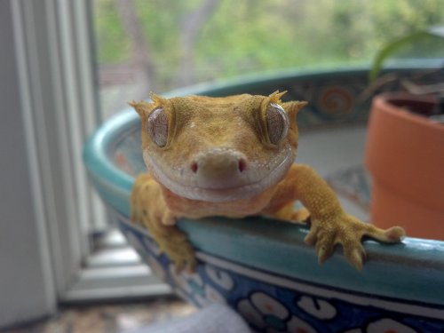 2012-04-25_12-52-07_911.jpg