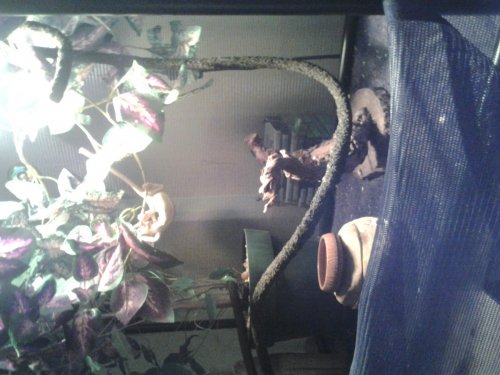 2012-05-17 11.21.10.jpg