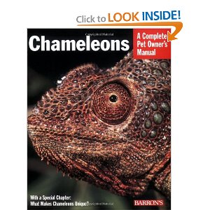 cham book.jpg