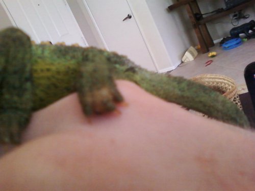 foot.jpg