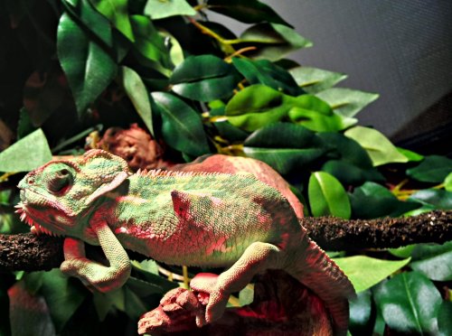 2012-05-20_14-30-40_HDR.jpg