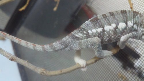 2012-05-20_18-32-02_18.jpg