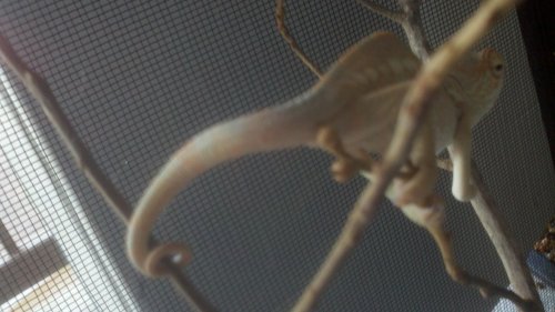 2012-05-20_18-30-03_289.jpg