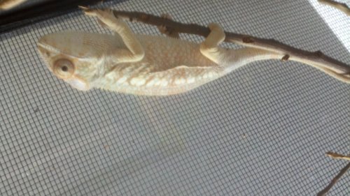 2012-05-20_18-31-17_335.jpg