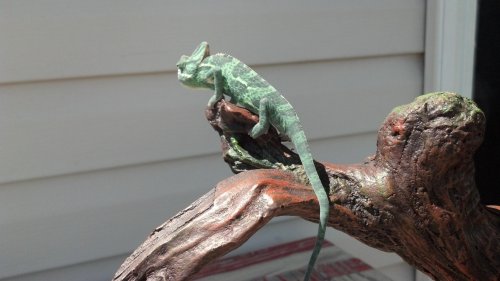 2012-05-22_14-04-55_907.jpg