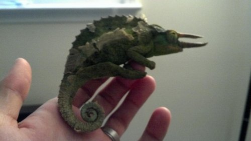 2012-05-10_17-01-03_196.jpg