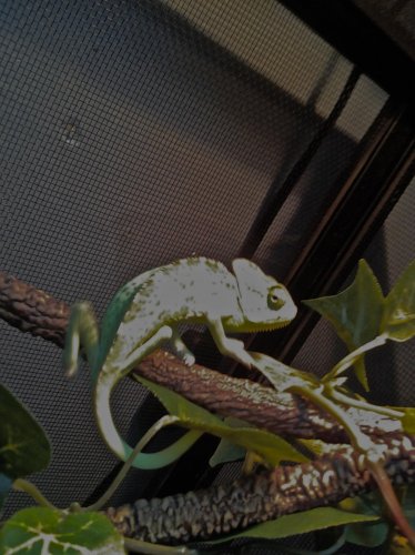 2012-05-23 12.45.38.jpg