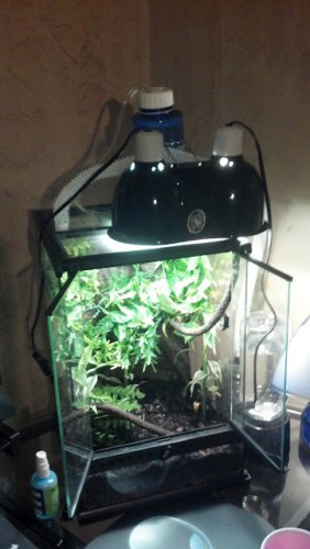 2012-05-26_14-26-47_923 (1).jpg