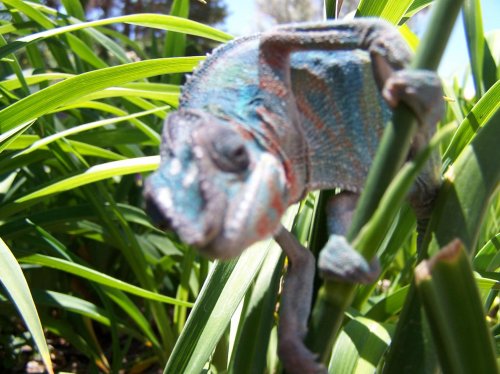 100_2795.jpg