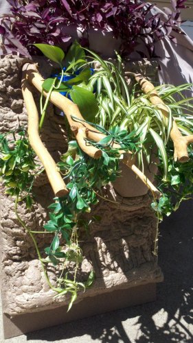 2012-05-27_15-03-09_619.jpg