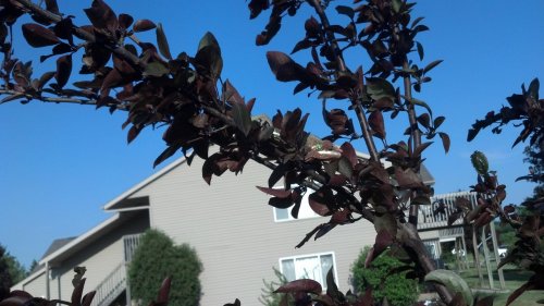 2012-05-27_17-57-55_127.jpg
