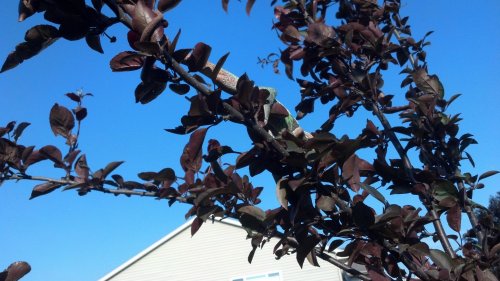 2012-05-27_17-57-47_507.jpg