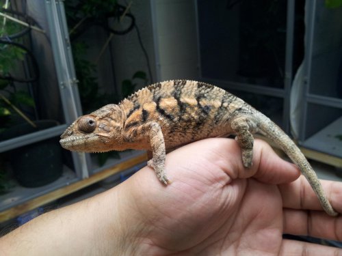 20120529_110058.jpg