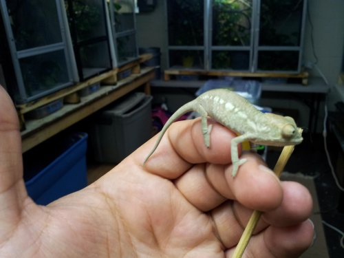 20120529_165209.jpg