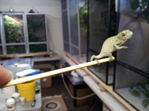 20120529_174426.jpg