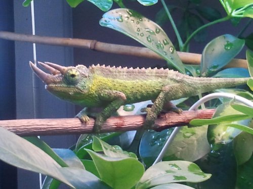 2012-05-05 12.24.03.jpg