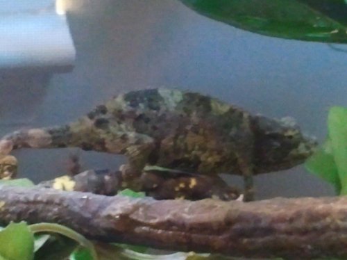 2012-05-04 18.20.40.jpg