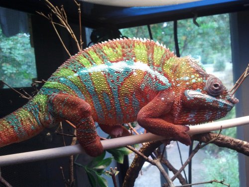 2011-09-04 13[1].48.31.jpg