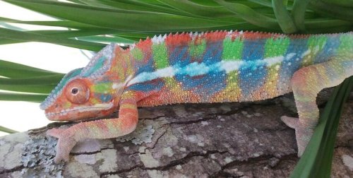 2012-04-28 14.46.12-1 (1).JPG