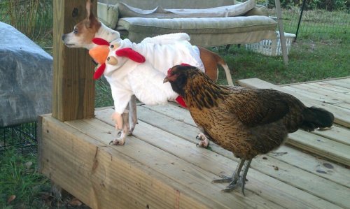 seasalt and abby.jpg