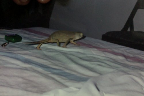 Photo on 6-1-12 at 10.38 PM #2.jpg