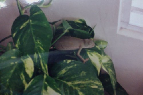 Photo on 6-1-12 at 10.39 PM #2.jpg