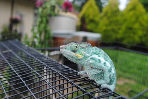 DSC_0949.jpg