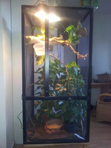 cage 1.jpg
