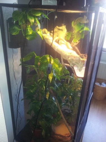 cage 2.jpg