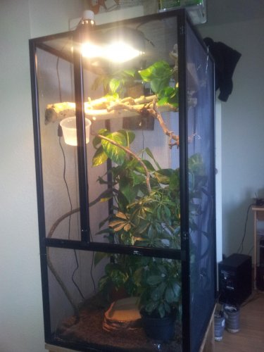 cage 3.jpg