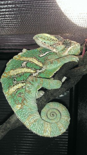 IMAG0466.jpg