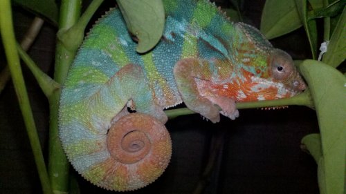 2012-06-05_21-08-58_687.jpg