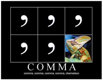 comma_chameleon.jpg