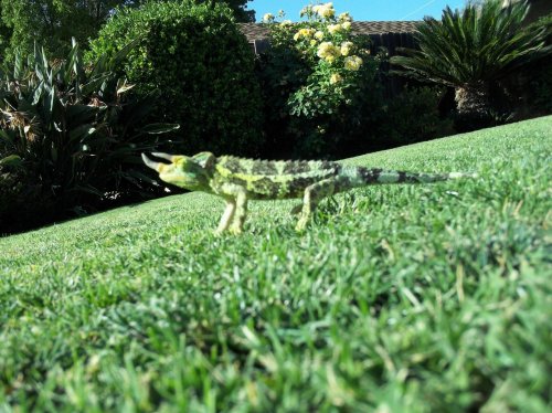 100_0178.jpg