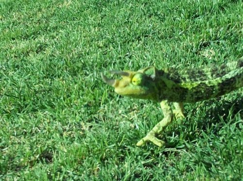 100_0177.jpg